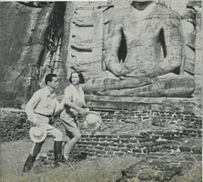 elephant walk ceylon