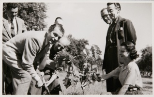 Lot 237- Photographs (14)