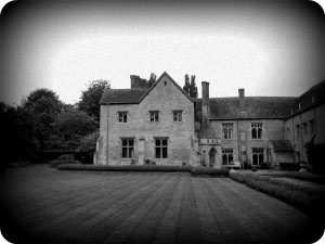 Notley Abbey gothic