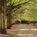 Autumn at Kenwood House