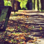 Autumn at Kenwood House
