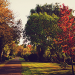 Golders Green crematorium