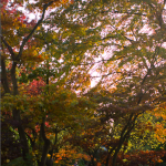 Golders Green crematorium
