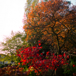 Golders Green crematorium