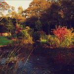 Golders Green crematorium