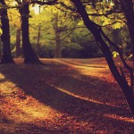 Autumn at Kenwood House