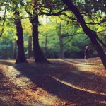 Autumn at Kenwood House