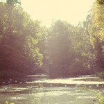 The ponds Kenwood House