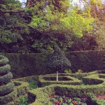 Autumn in Regents Park