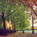 Autumn in Regent's Park