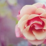 Regent's Park London