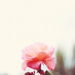 Regent's Park London