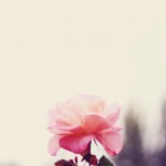 Regent's Park London