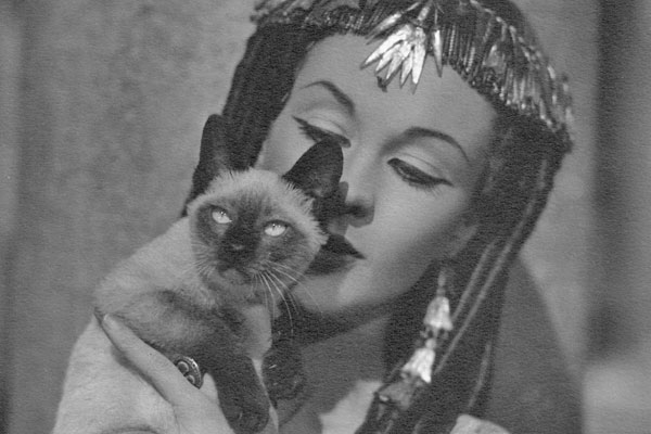 Vivien Leigh, Belgian postcard by Les Editions d'Art L.A.B.…