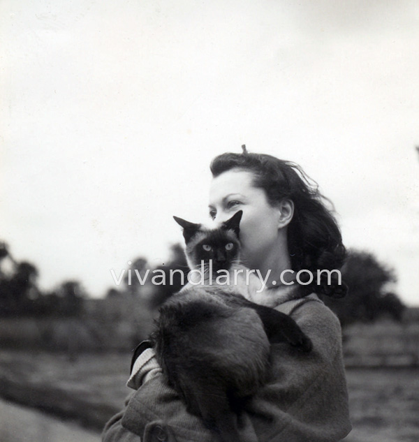 Vivien Leigh and cat New Boy at Notley Abbey