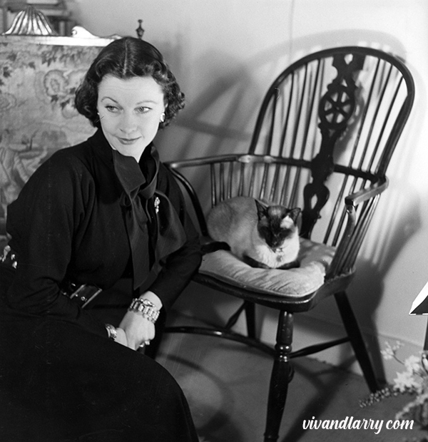 Vivien Leigh and her Siamese cat Boy, photographed by Tom Blau at Durham Cottage, 1951